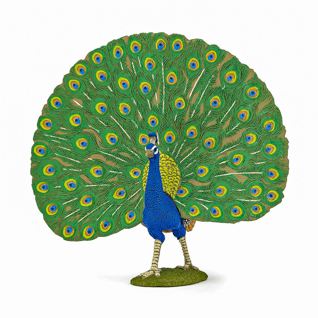 Papo Prietenii de la ferma Figurina Paun