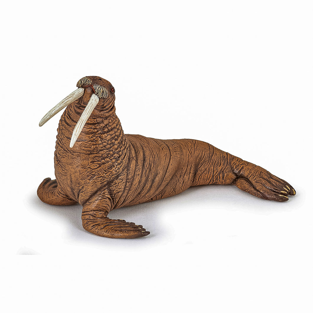 Papo Universul Acvatic Figurina Morsa