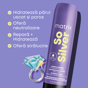 Matrix Total Results So Silver - Set Pentru Par Blond