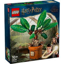 Încarcă imaginea în Galerie, Lego Harry Potter TM Matraguna
