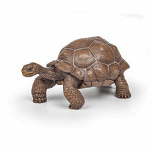 Încarcă imaginea în Galerie, Papo Animale Salbatice Figurina Testoasa Galapagos
