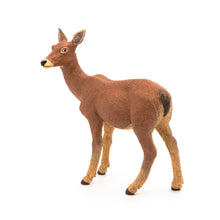 Încarcă imaginea în Galerie, Papo Animale Salbatice Figurina Caprioara
