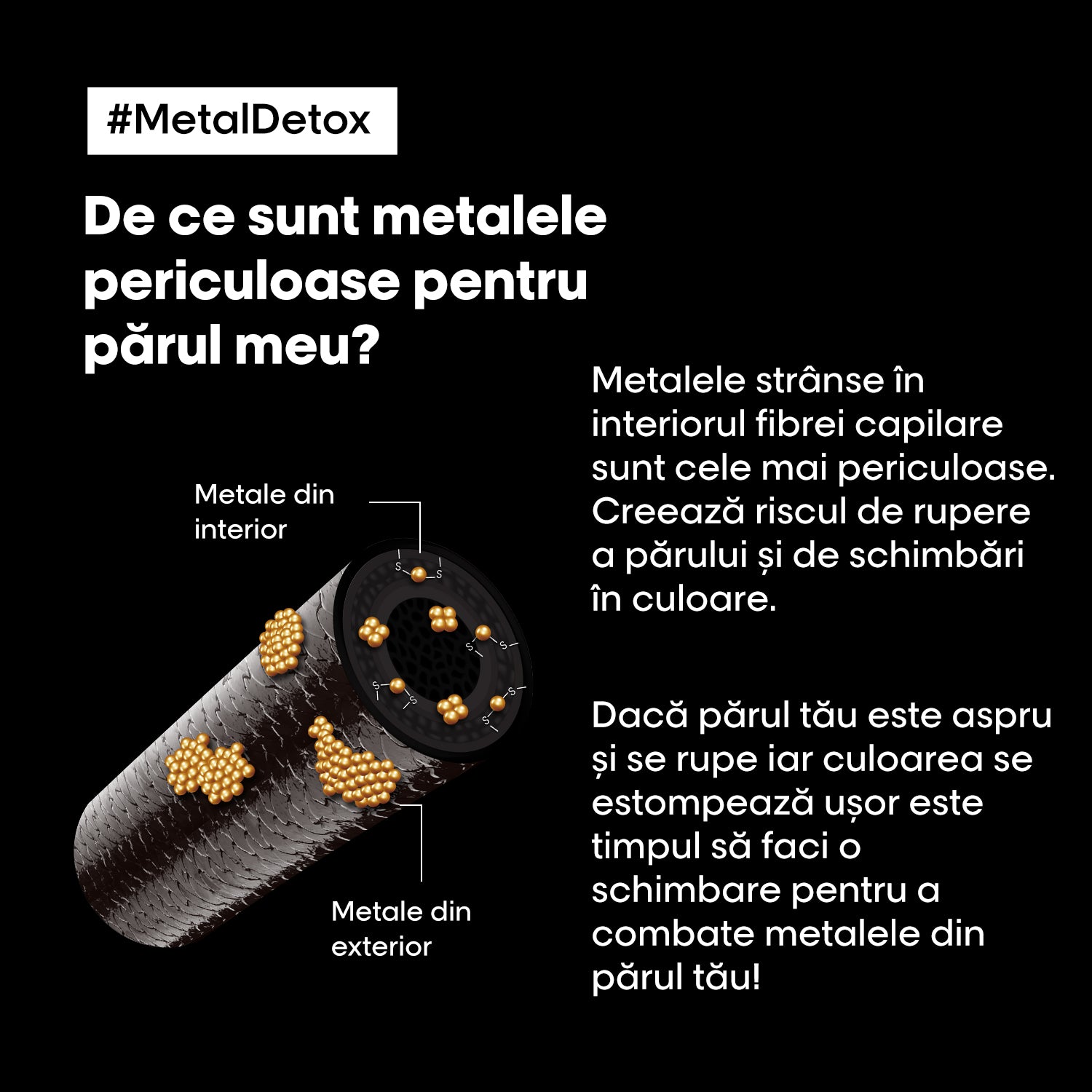 L'Oreal Professionnel SE Metal Detox Sampon-crema 300ml - Beauty Lounge
