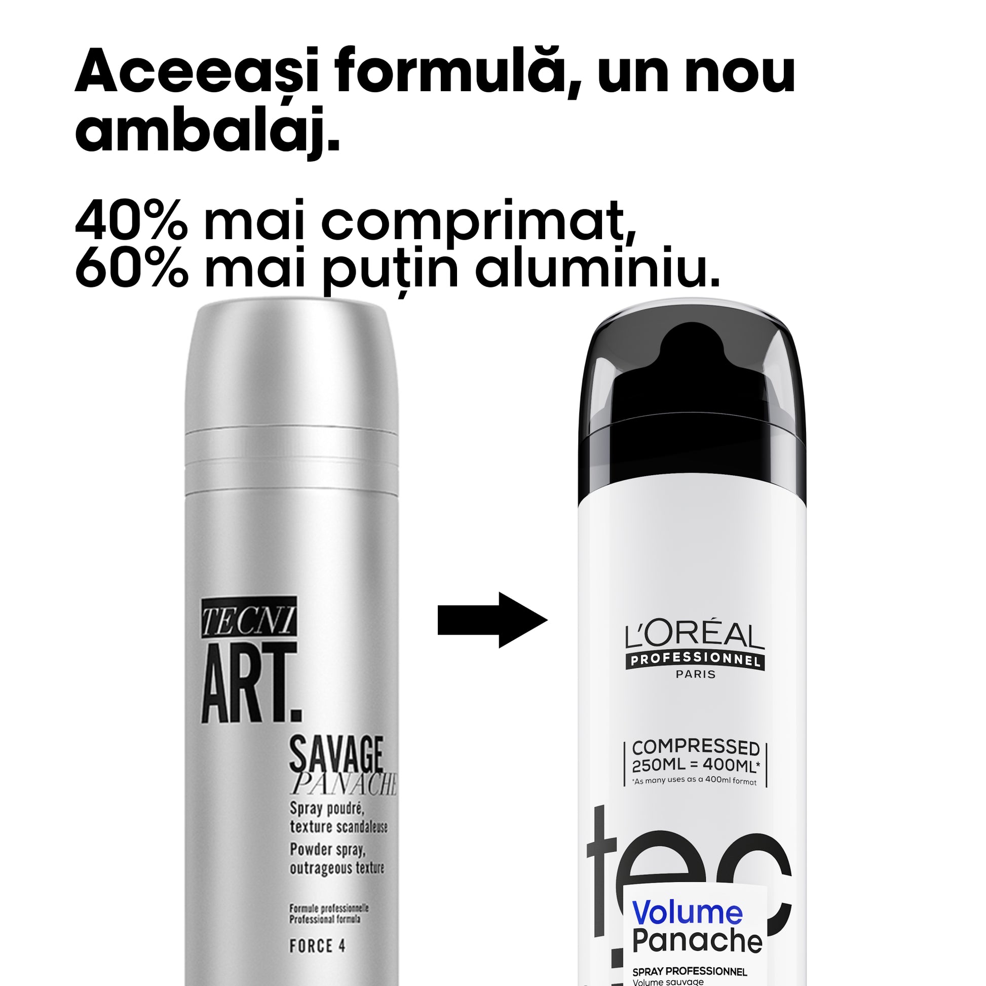 L'Oreal Professionnel Tecni Art Savage Panache Spray Fixativ Cu Pulbere Uscata 250ml - Beauty Lounge