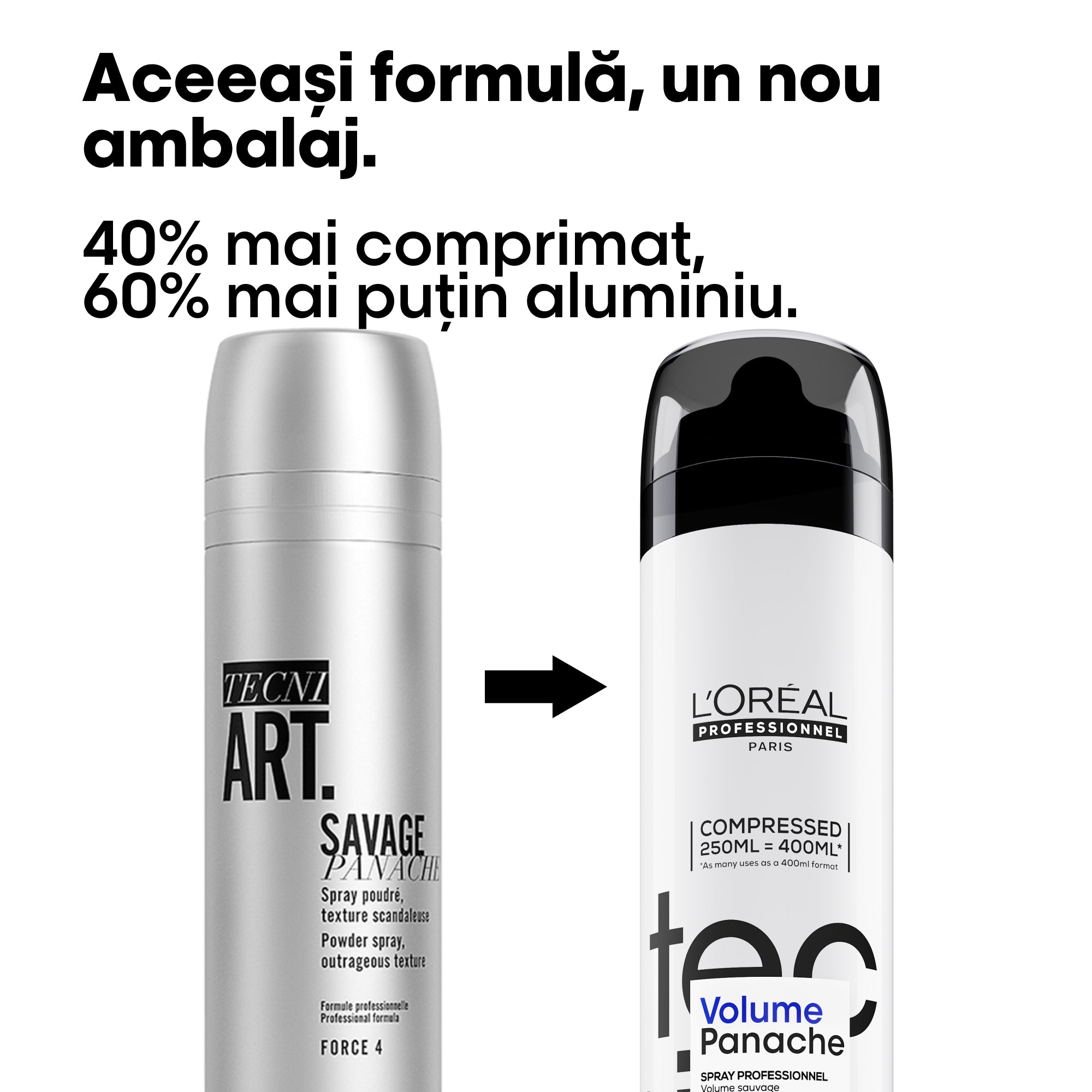 L'Oreal Professionnel Tecni Art Savage Panache Spray Fixativ Cu Pulbere Uscata 250ml - Beauty Lounge