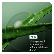 Încarcă imaginea în Galerie, Matrix Biolage Masca Deep Treatment Hydrasource 100ml - Masca Intens Hidratanta
