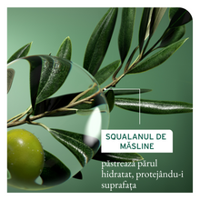 Încarcă imaginea în Galerie, Matrix Biolage Strength Recovery - Tratament Pentru Par Deteriorat 100ml
