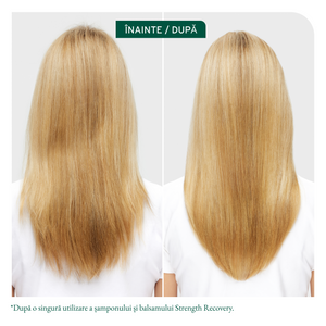 Matrix Biolage Strength Recovery - Balsam Profesional Imbogatit 236ml