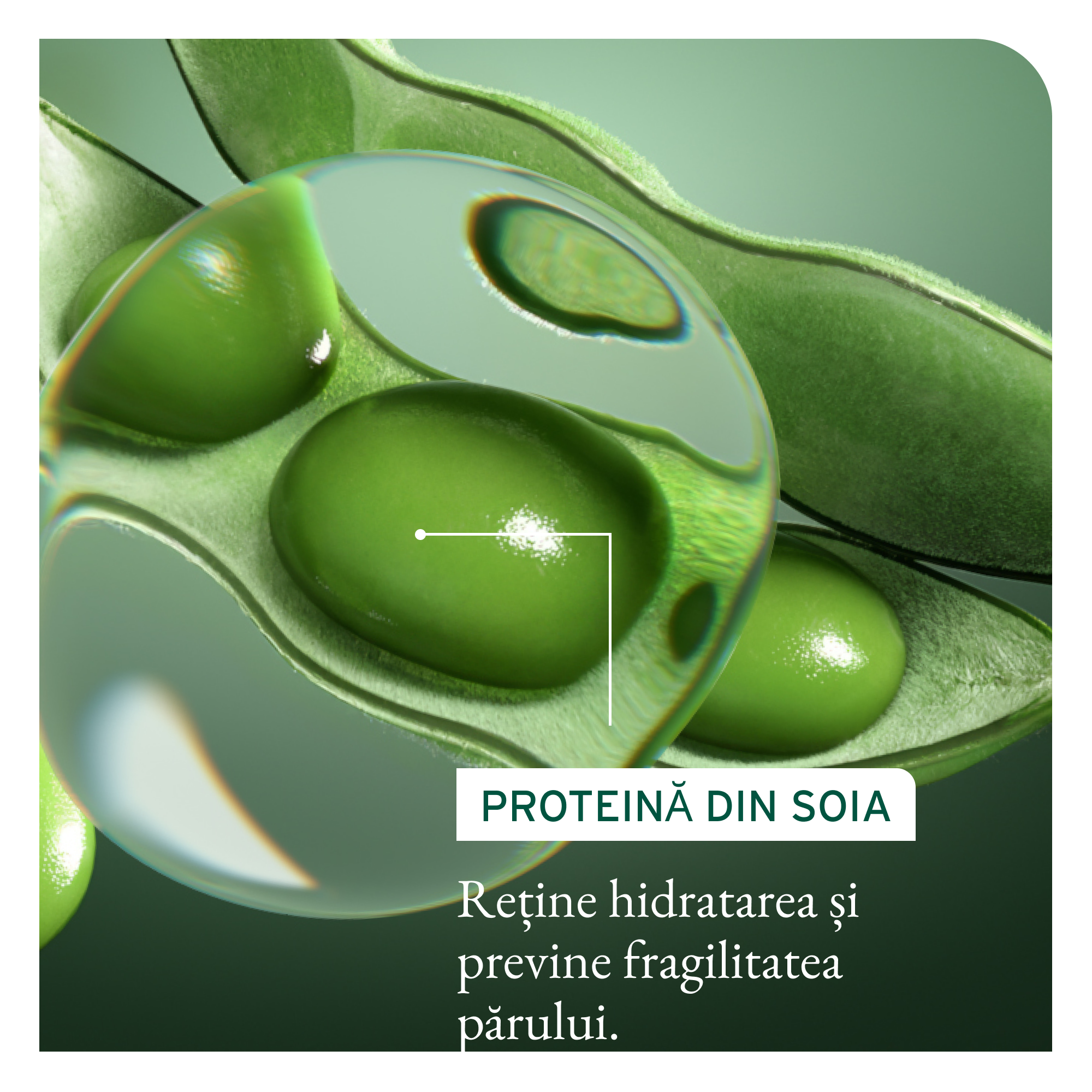 Matrix Biolage Volume Boost Conditioner - Balsam Pentru Volum 400ml