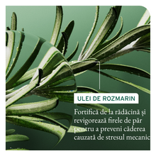 Încarcă imaginea în Galerie, Matrix Biolage Full Rescue - Balsam Anticadere si Echilibrare Scalp 236ml
