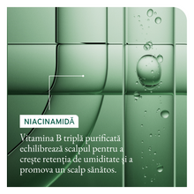 Încarcă imaginea în Galerie, Matrix Biolage Full Rescue - Balsam Anticadere si Echilibrare Scalp 236ml
