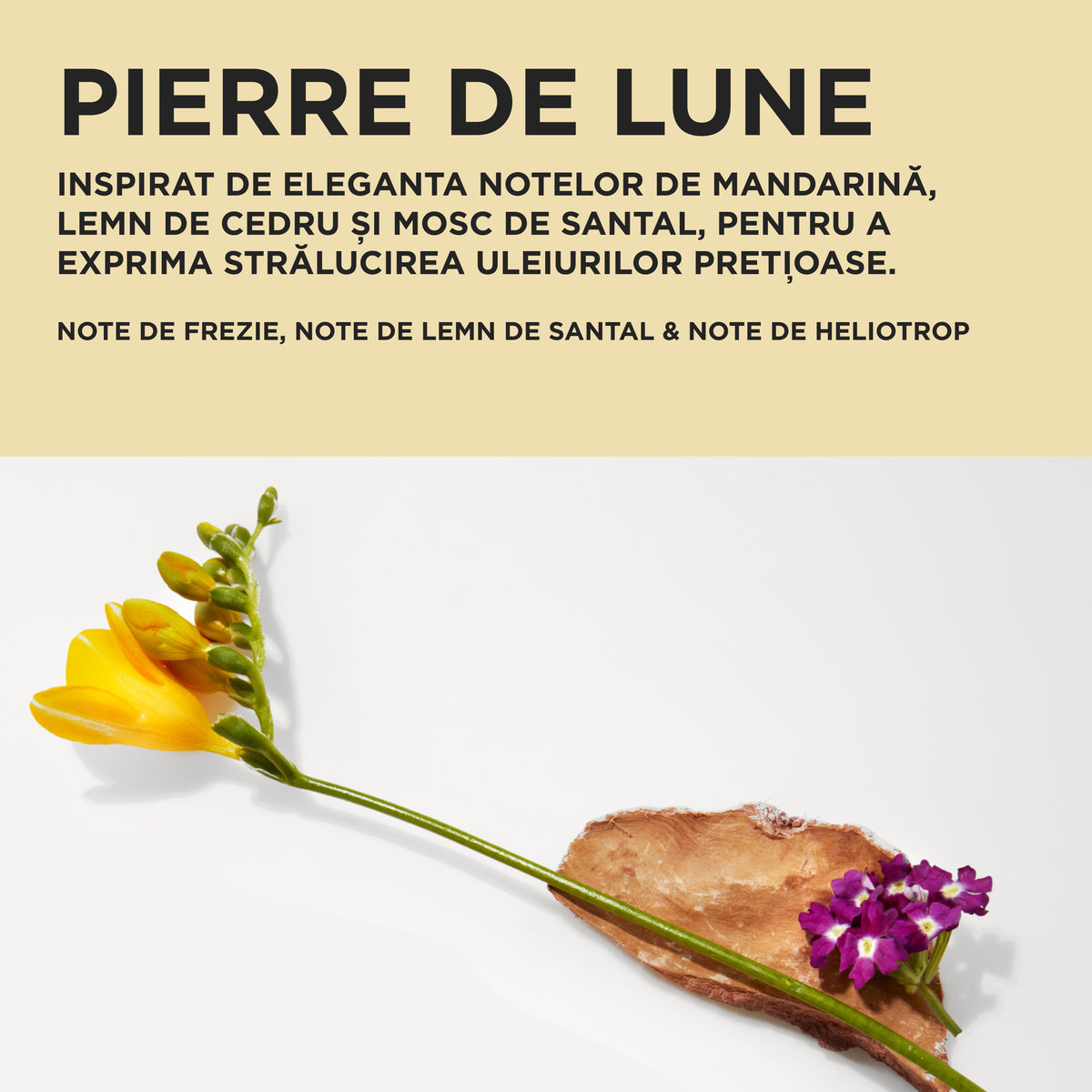 Kerastase Elixir Ultime Duo Spring Set - Ulei de par 75ml + Ulei de par 30ml