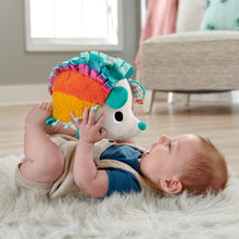 Încarcă imaginea în Galerie, Fisher Price NewBorn Ariciul cu Activitati Senzoriale
