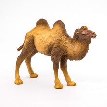 Încarcă imaginea în Galerie, Papo Animale Salbatice Figurina Camila Bactriana

