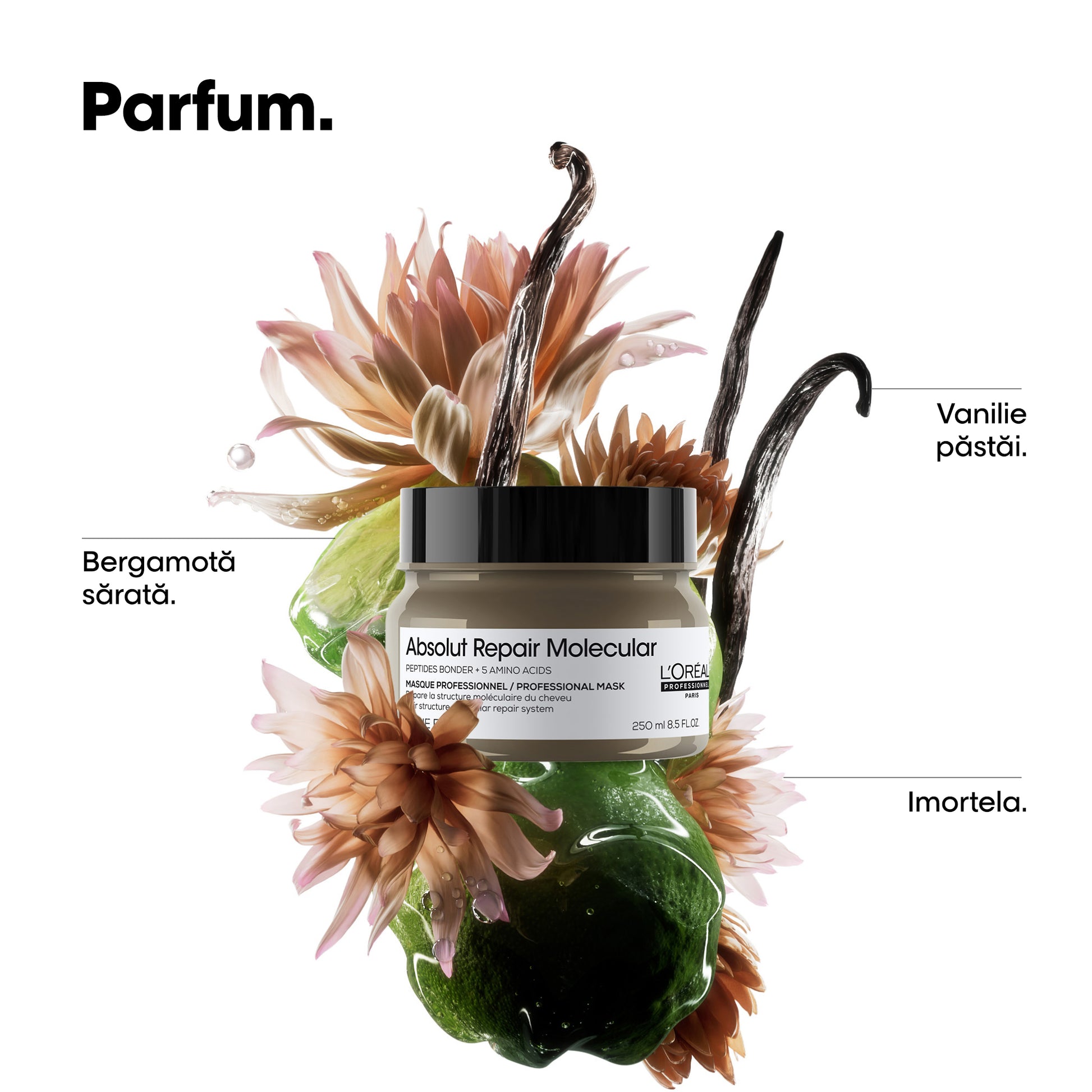 L’Oreal Professionnel Serie Expert Absolut Repair Molecular - Masca Par Deteriorat 250ml - Beauty Lounge