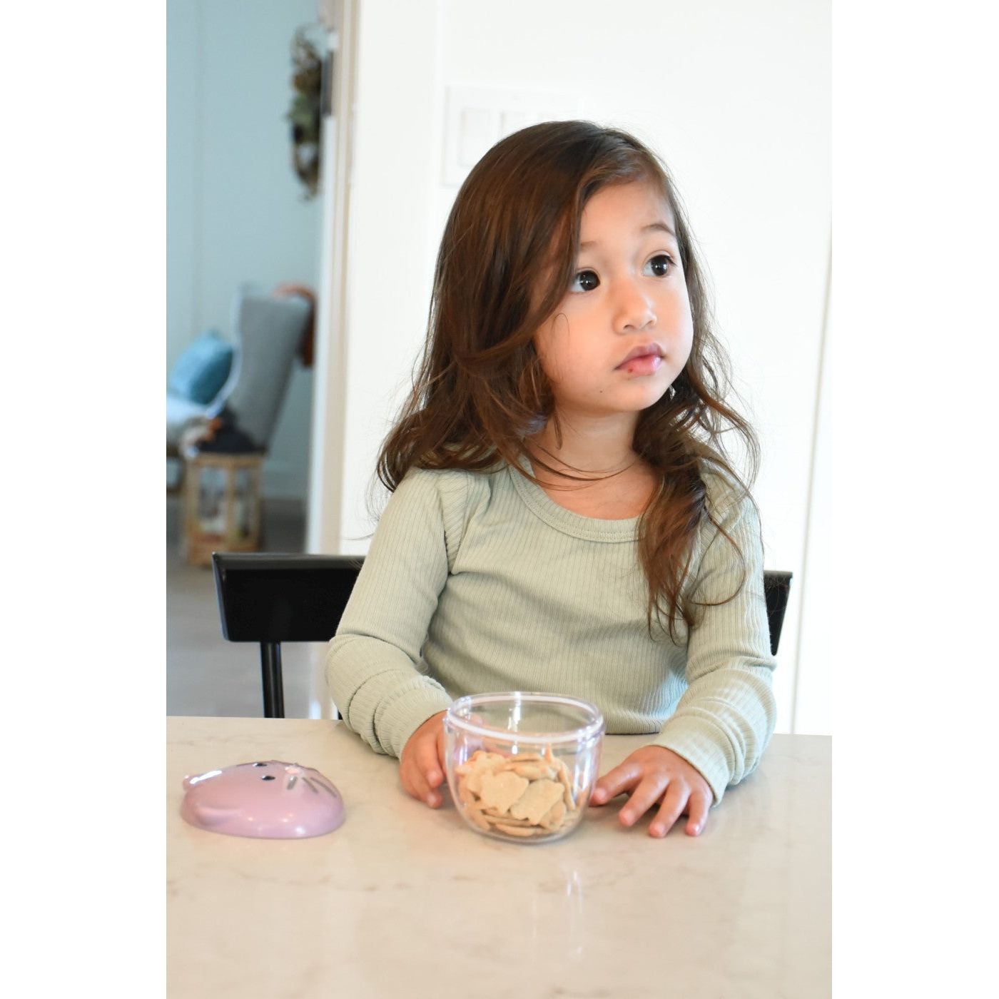 Melii Recipient Hrana Bebe Model Pisica