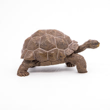 Încarcă imaginea în Galerie, Papo Animale Salbatice Figurina Testoasa Galapagos
