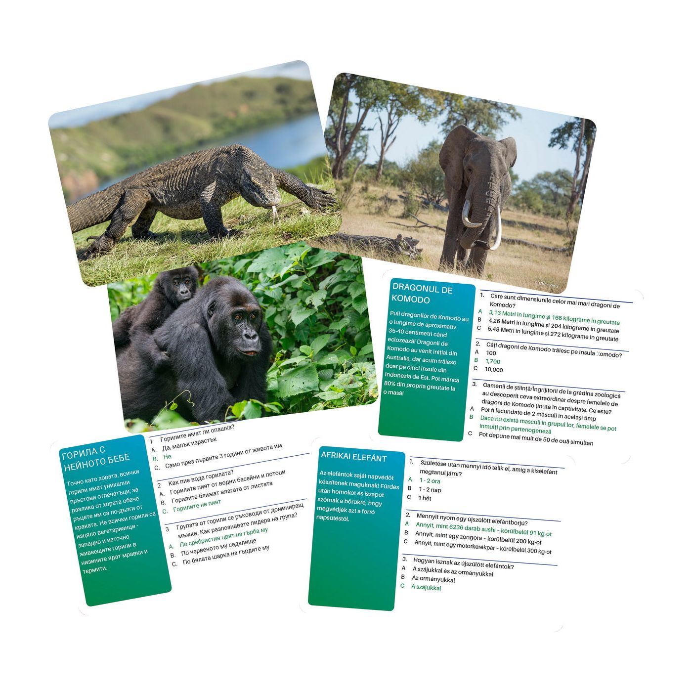 Noris Joc Interactiv Lumea Animalelor