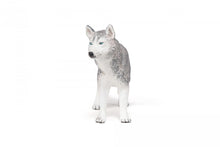 Încarcă imaginea în Galerie, Papo Rase de Caini si Pisici Figurina Husky Siberian
