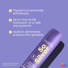 Încarcă imaginea în Galerie, Matrix Total Results So Silver - Balsam de Par cu Pigment Violet 300ml
