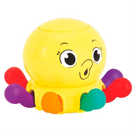 Hola Zornaitoare Caracatita