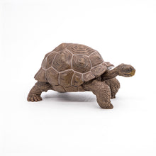 Încarcă imaginea în Galerie, Papo Animale Salbatice Figurina Testoasa Galapagos
