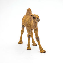 Încarcă imaginea în Galerie, Papo Animale Salbatice Figurina Dromader
