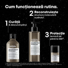 Încarcă imaginea în Galerie, L’Oreal Professionnel SE Absolut Repair Molecular Trio - Set Pentru Par Deteriorat
