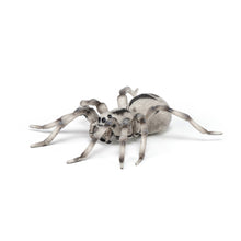 Încarcă imaginea în Galerie, Papo Animale Salbatice Figurina Tarantula
