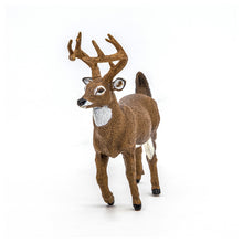 Încarcă imaginea în Galerie, Papo Animale Salbatice Figurina Cerb cu Coada Alba
