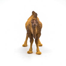 Încarcă imaginea în Galerie, Papo Animale Salbatice Figurina Camila Bactriana
