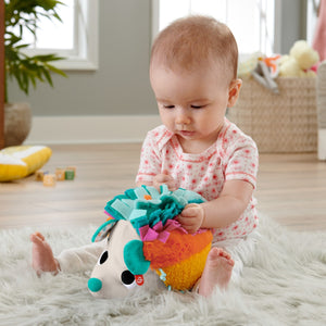 Fisher Price NewBorn Ariciul cu Activitati Senzoriale