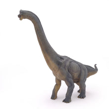 Încarcă imaginea în Galerie, Papo Dinozauri Figurina Dinozaur Brachiosaurus
