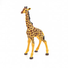 Încarcă imaginea în Galerie, Papo Animale Salbatice Figurina Pui Girafa

