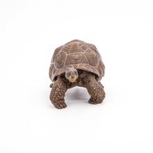 Încarcă imaginea în Galerie, Papo Animale Salbatice Figurina Testoasa Galapagos
