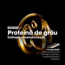 Încarcă imaginea în Galerie, L`Oreal Professionnel SE Absolut Repair Duo - Set Pentru Par Uscat si Deteriorat
