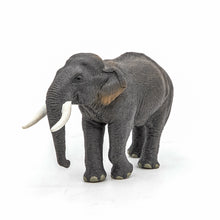 Încarcă imaginea în Galerie, Papo Animale Salbatice Figurina Elefant Asiatic
