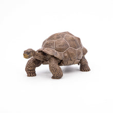 Încarcă imaginea în Galerie, Papo Animale Salbatice Figurina Testoasa Galapagos
