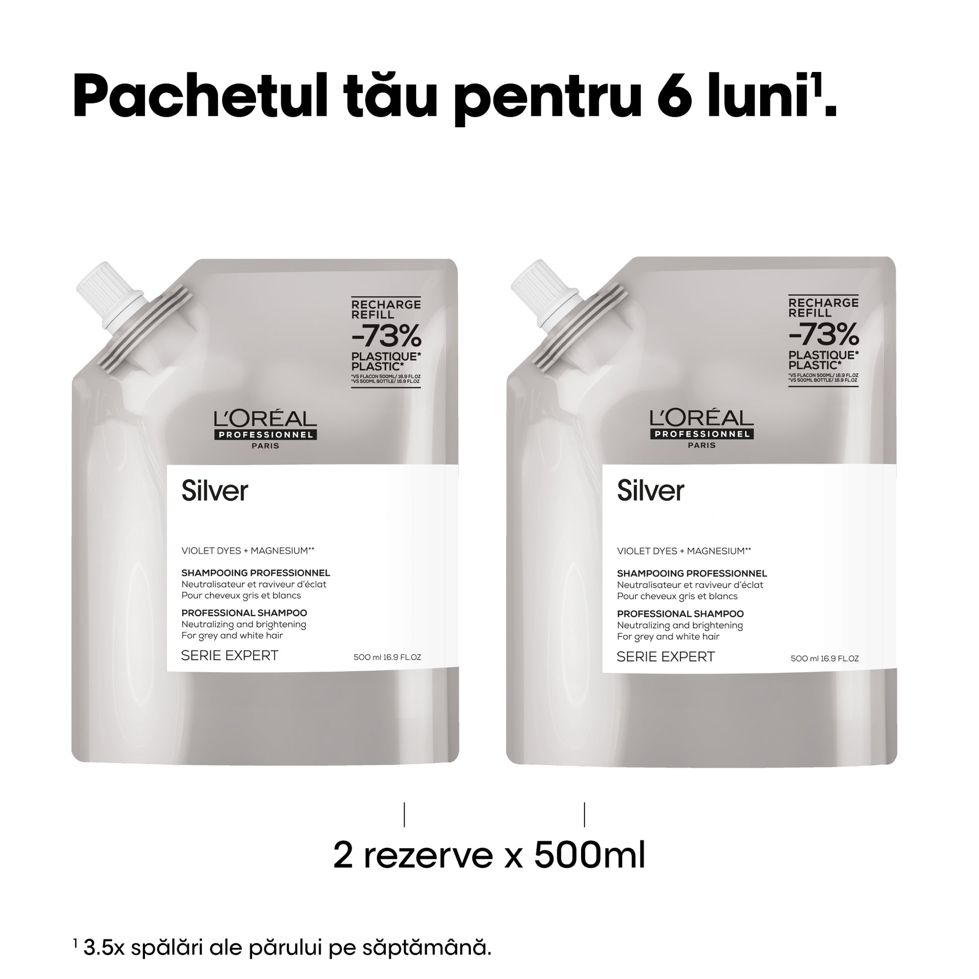 L'Oreal Professionnel SE Silver - Rezerva Sampon Pentru Par Carunt sau Alb 500ml - Beauty Lounge