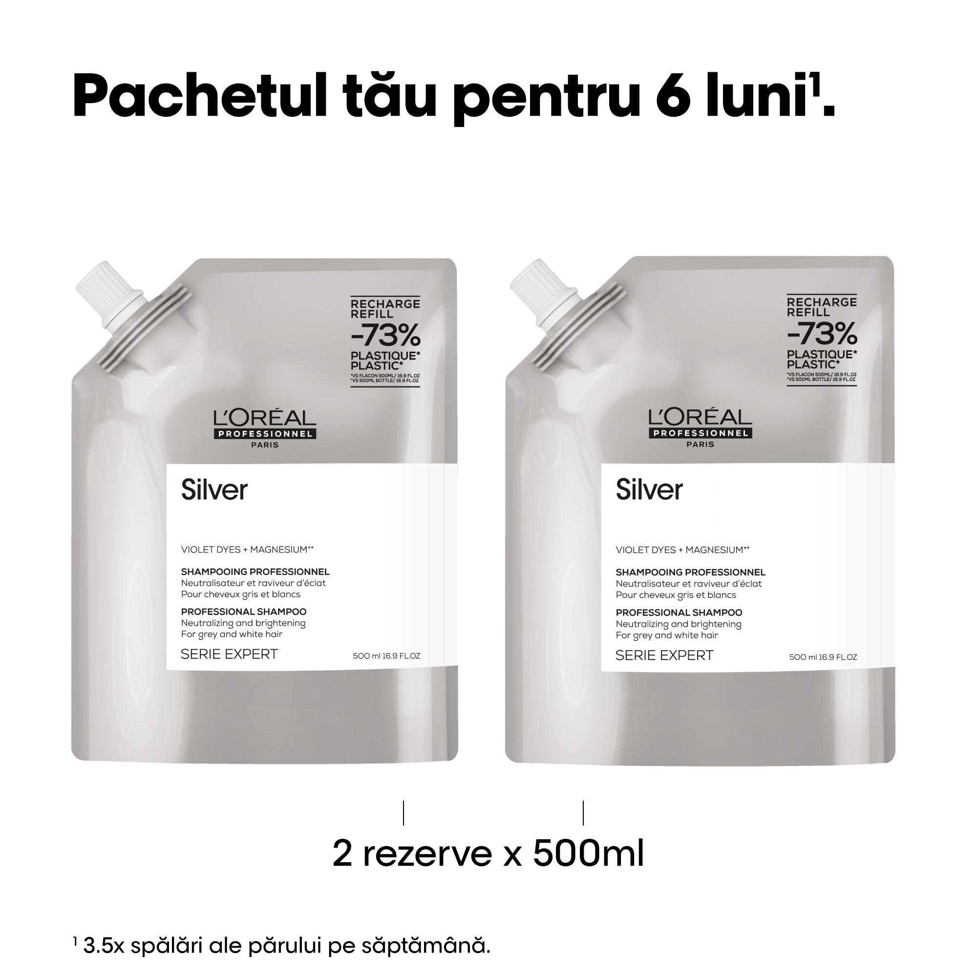 L'Oreal Professionnel SE Silver - Rezerva Sampon Pentru Par Carunt sau Alb 500ml - Beauty Lounge