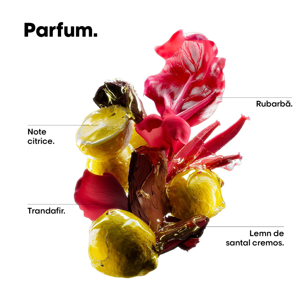 L'Oreal Professionnel SE Vitamino Color Spectrum Refill 500ml - Rezerva Sampon Pentru Par Vopsit
