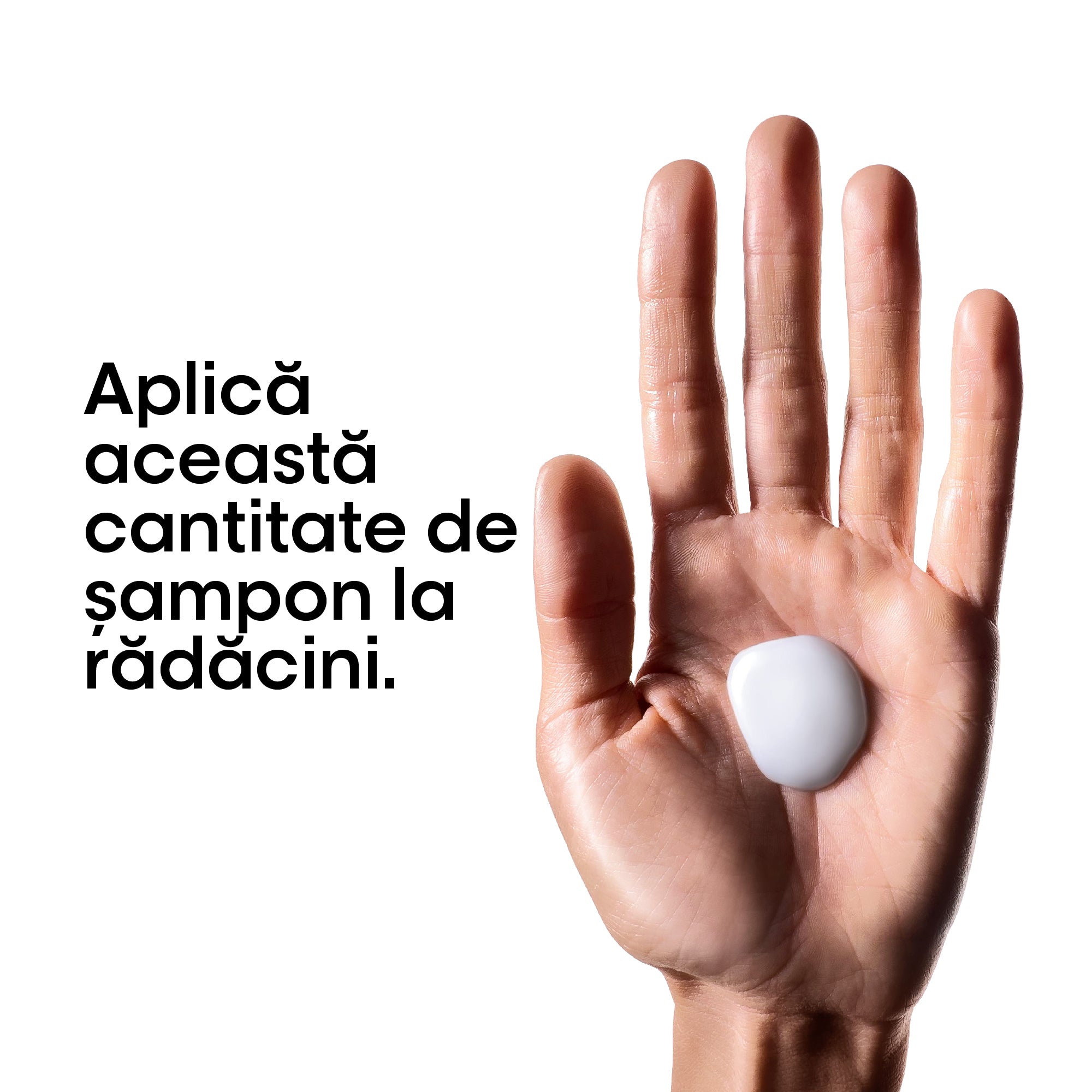 L'Oreal Professionnel SE Metal Detox 500ml - Rezerva Sampon Pentru Curatare Profunda Par Vopsit