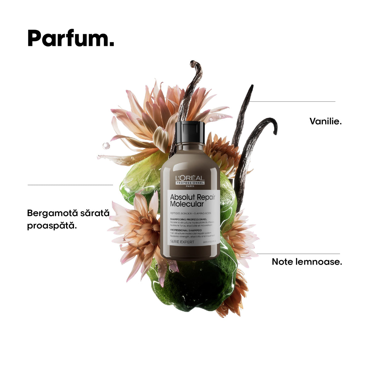 L’Oreal Professionnel Serie Expert Absolut Repair Molecular - Sampon 300ml si Rezerva 500ml - Beauty Lounge