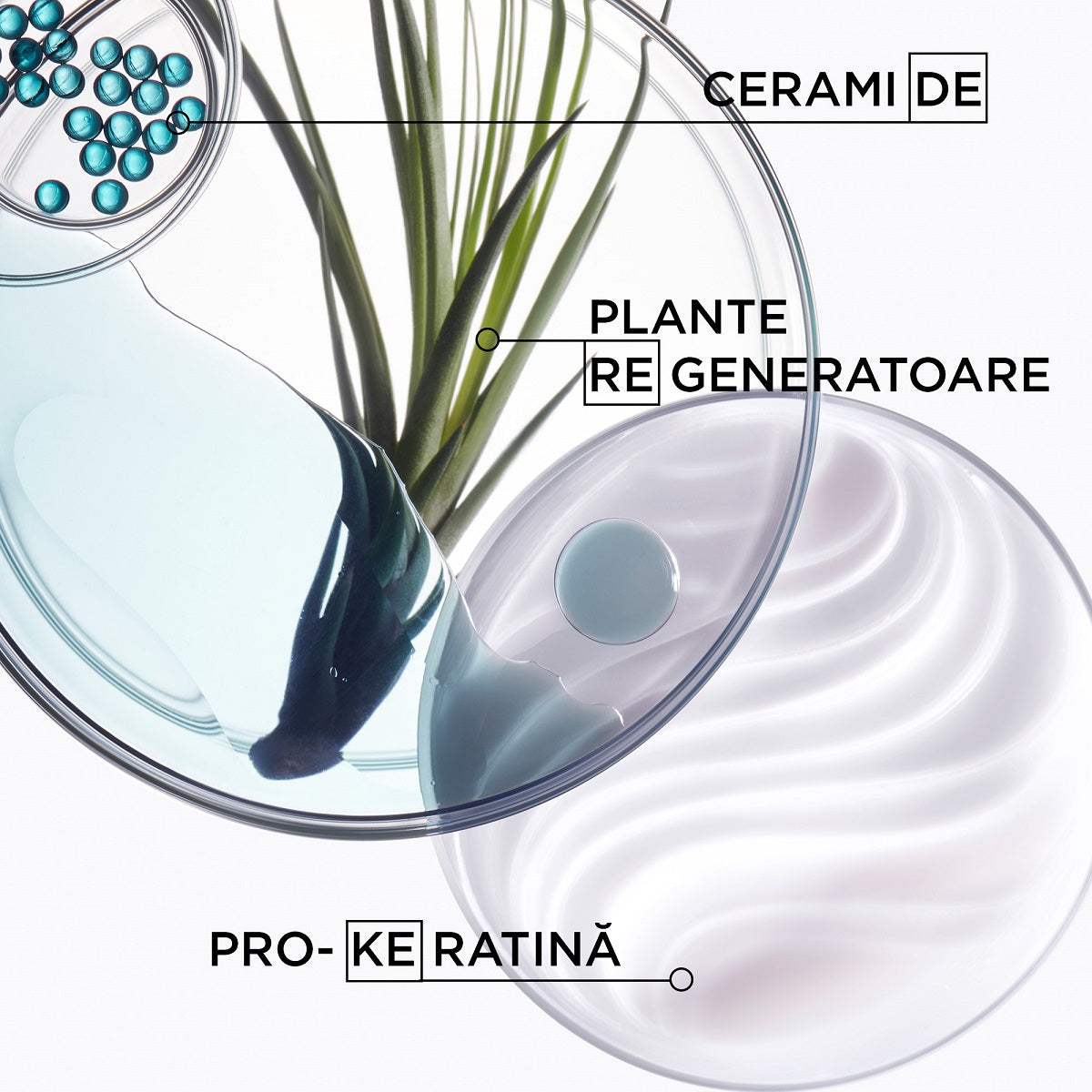 Kerastase Resistance Bain Force Architecte - Rezerva Sampon 500ml - Beauty Lounge