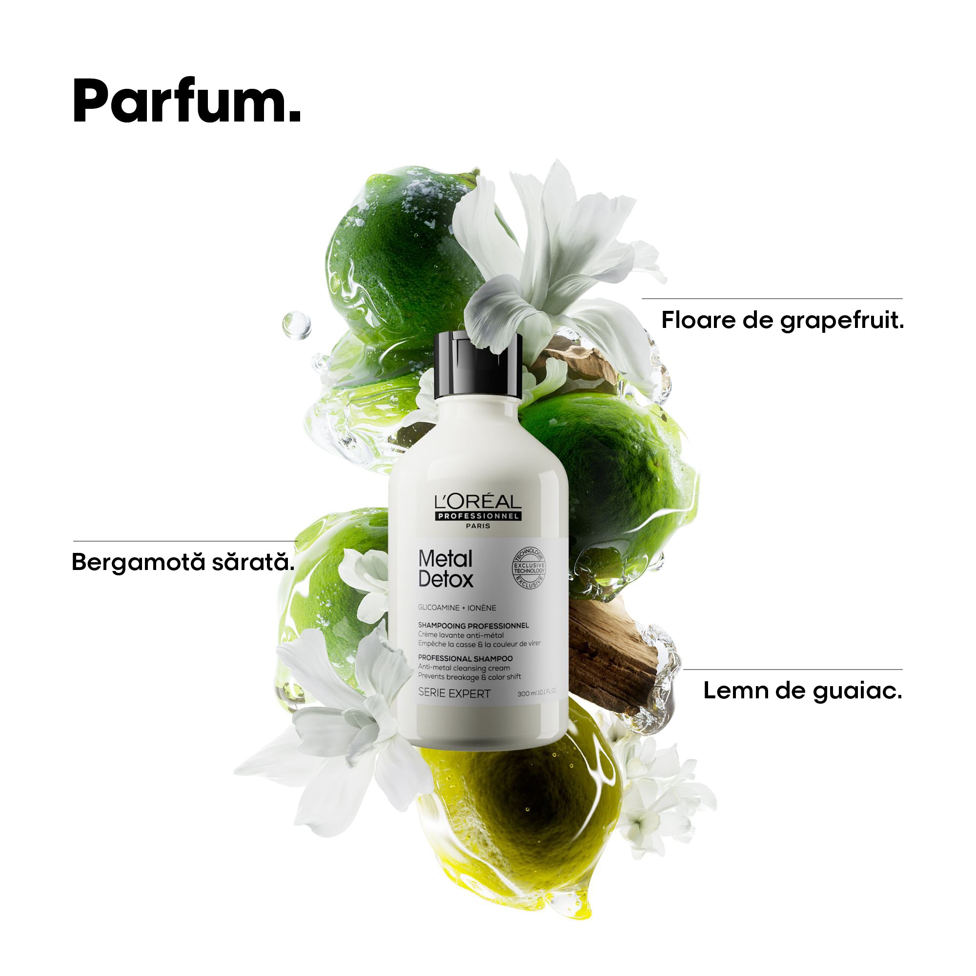 L'Oreal Professionnel SE Metal Detox 500ml - Rezerva Sampon Pentru Curatare Profunda Par Vopsit
