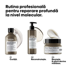 Încarcă imaginea în Galerie, L’Oreal Professionnel Serie Expert Absolut Repair Molecular - Masca Par Deteriorat 250ml
