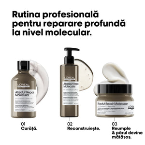 L’Oreal Professionnel Serie Expert Absolut Repair Molecular - Masca Par Deteriorat 250ml