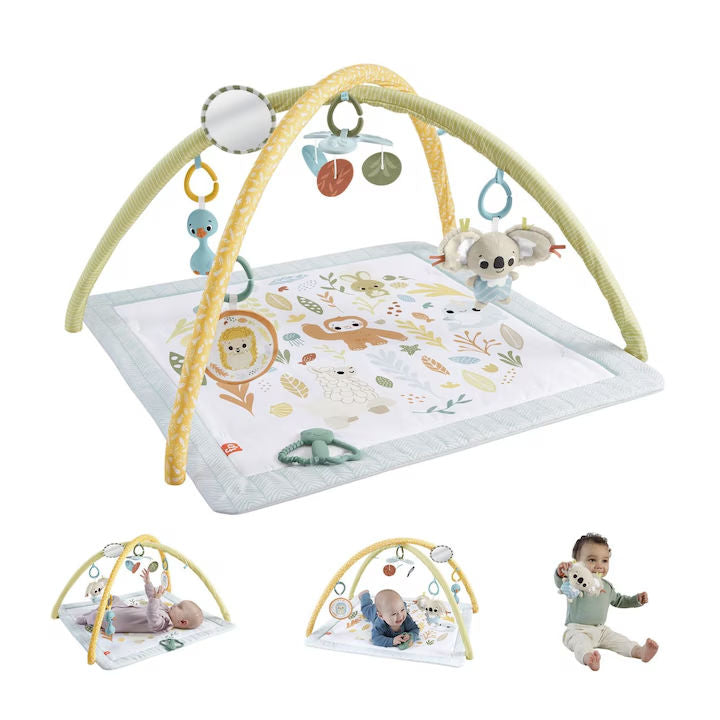 Fisher Price Simply Senses - Salteluta de Activitati Pentru Nou-Nascuti cu Jucarii Senzoriale
