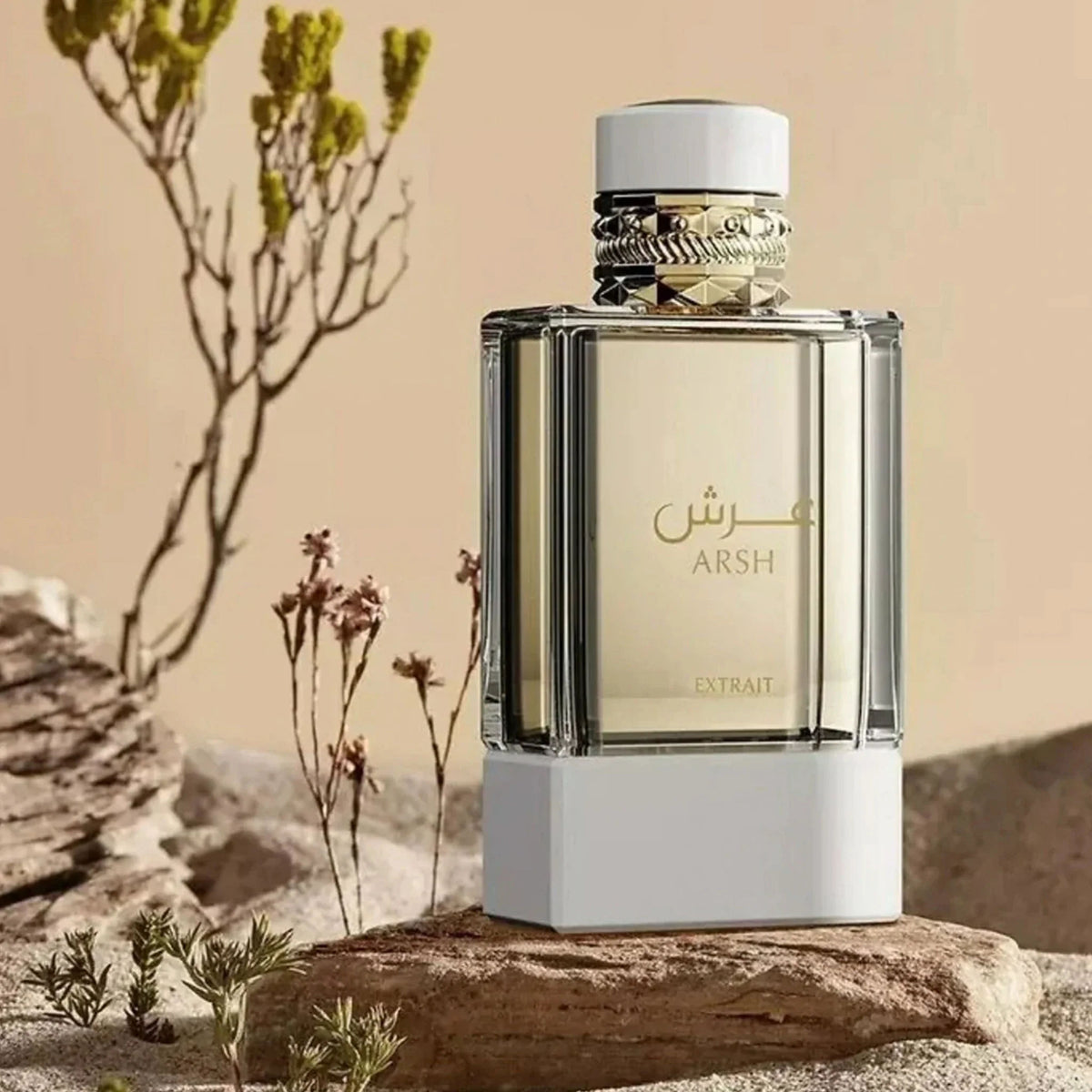 French Avenue Arsh 100ml - Extract de Parfum Unisex