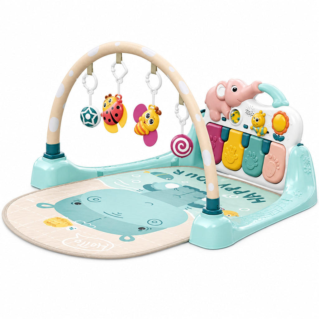 Hola Salteluta de Joaca Interactiva 4in1 Pentru Bebelusi